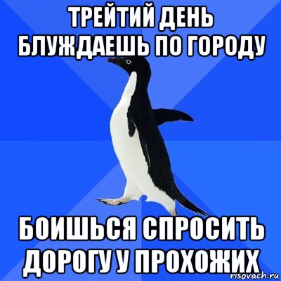 трейтий день блуждаешь по городу боишься спросить дорогу у прохожих, Мем  Социально-неуклюжий пингвин