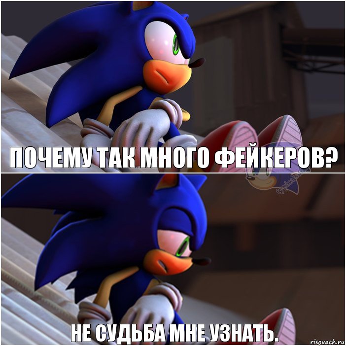 Почему так много фейкеров? Не судьба мне узнать., Комикс Sonic 1