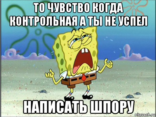 то чувство когда контрольная а ты не успел написать шпору, Мем Спанч Боб плачет