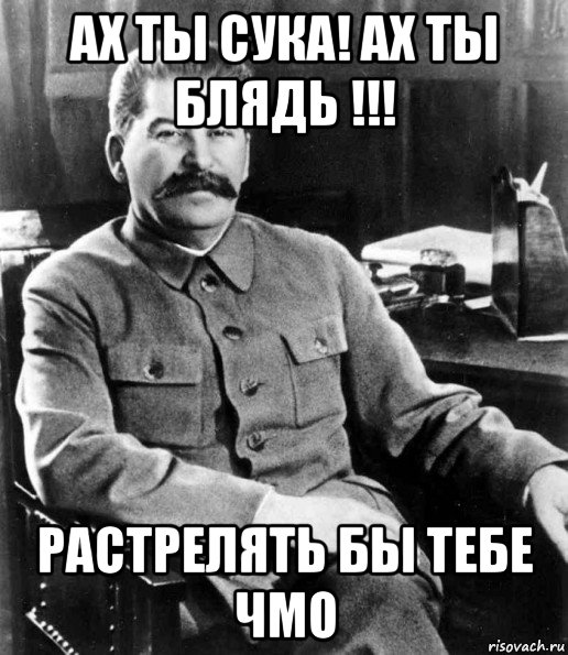 ах ты сука! ах ты блядь !!! растрелять бы тебе чмо, Мем  иосиф сталин