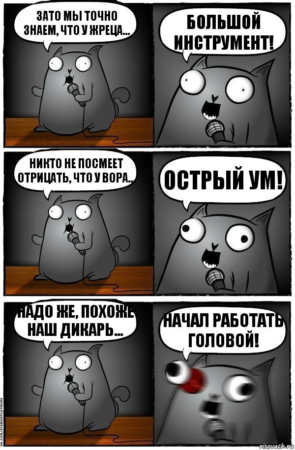 Зато мы точно знаем, что у жреца... БОЛЬШОЙ ИНСТРУМЕНТ! Никто не посмеет отрицать, что у вора... ОСТРЫЙ УМ! Надо же, похоже наш дикарь... НАЧАЛ РАБОТАТЬ ГОЛОВОЙ!, Комикс  Стендап-кот