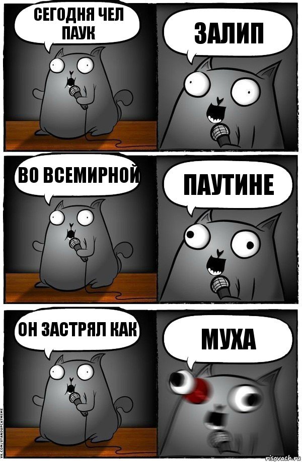 СЕГОДНЯ ЧЕЛ ПАУК ЗАЛИП ВО ВСЕМИРНОЙ ПАУТИНЕ ОН ЗАСТРЯЛ КАК МУХА, Комикс  Стендап-кот