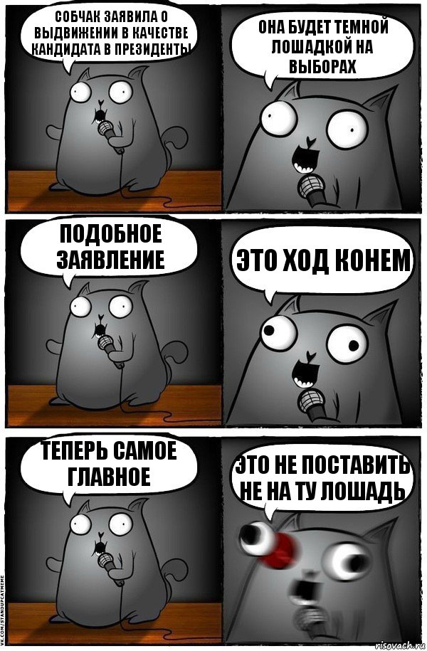 Собчак заявила о выдвижении в качестве кандидата в президенты Она будет темной лошадкой на выборах Подобное заявление это ход конем теперь самое главное это не поставить не на ту лошадь, Комикс  Стендап-кот