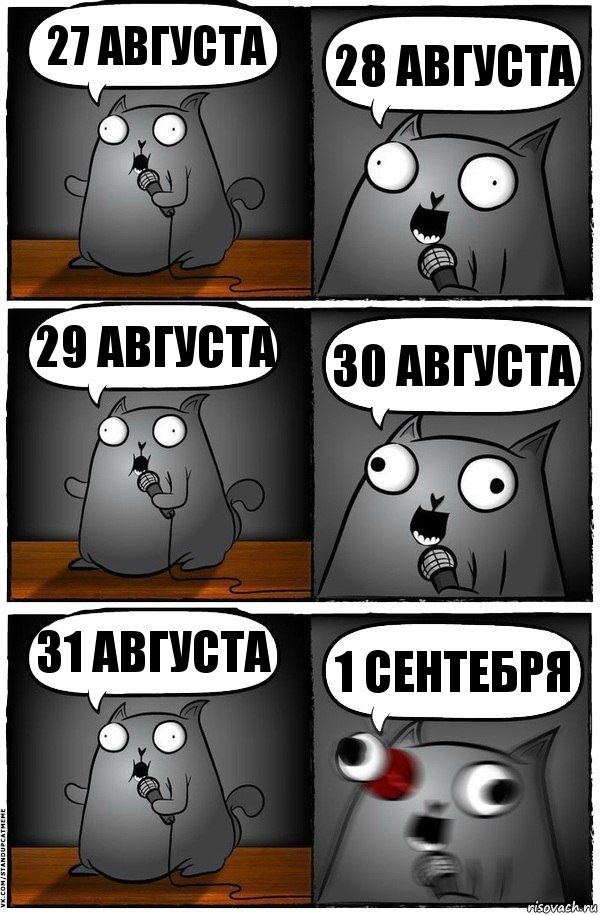 27 августа 28 августа 29 августа 30 августа 31 августа 1 сентебря, Комикс  Стендап-кот