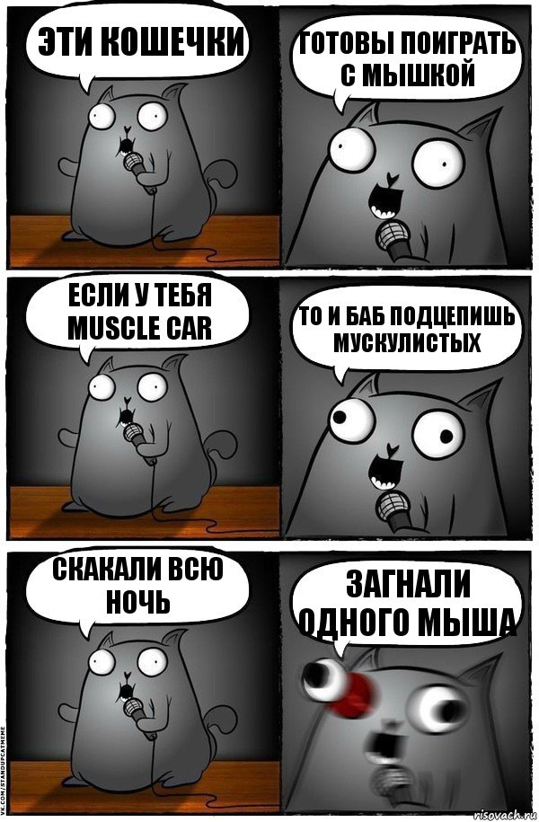 Эти кошечки готовы поиграть с мышкой Если у тебя muscle car то и баб подцепишь мускулистых скакали всю ночь загнали одного мыша, Комикс  Стендап-кот