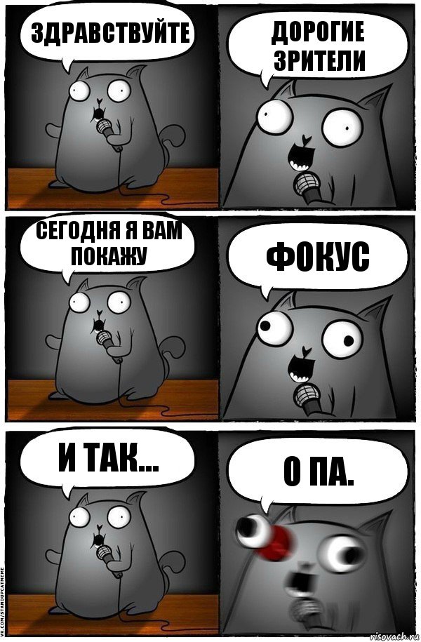 здравствуйте дорогие зрители сегодня я вам покажу фокус и так... о па., Комикс  Стендап-кот