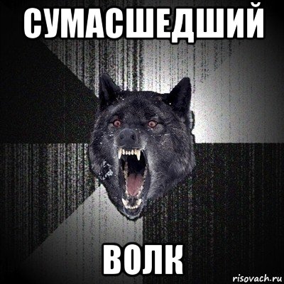 сумасшедший волк, Мем Сумасшедший волк