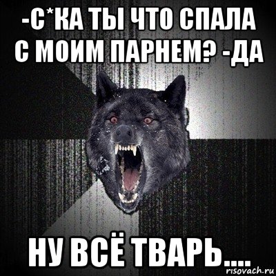 -с*ка ты что спала с моим парнем? -да ну всё тварь...., Мем Сумасшедший волк