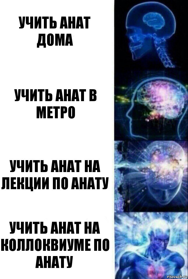 Учить анат дома Учить анат в метро Учить анат на лекции по анату Учить анат на коллоквиуме по анату, Комикс  Сверхразум