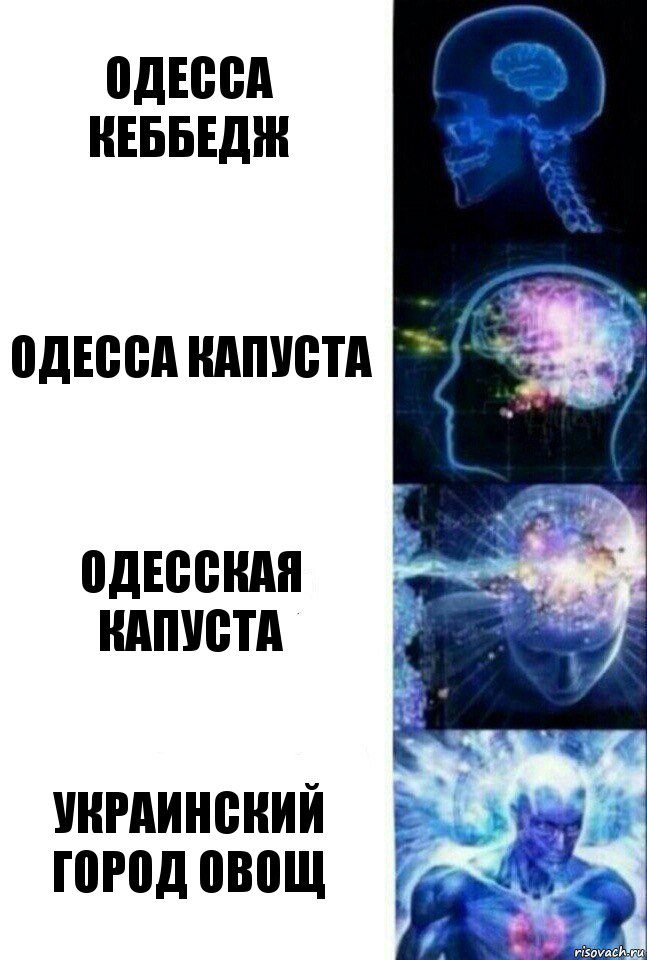 одесса кеббедж одесса капуста одесская капуста украинский город овощ