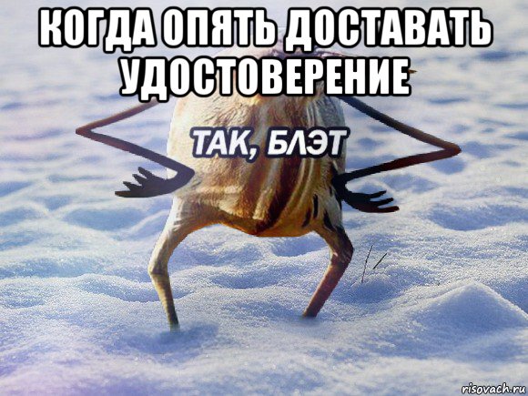 когда опять доставать удостоверение 