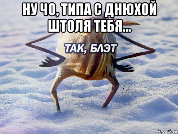 ну чо, типа с днюхой штоля тебя... 