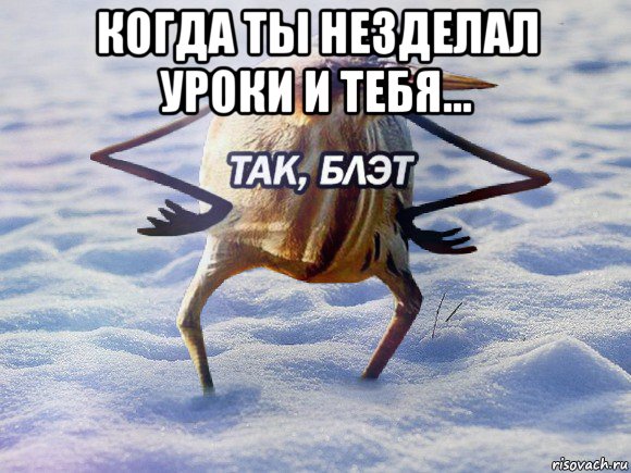 когда ты незделал уроки и тебя... 