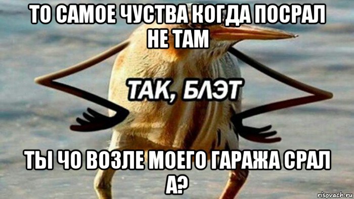 то самое чуства когда посрал не там ты чо возле моего гаража срал а?, Мем  Так блэт