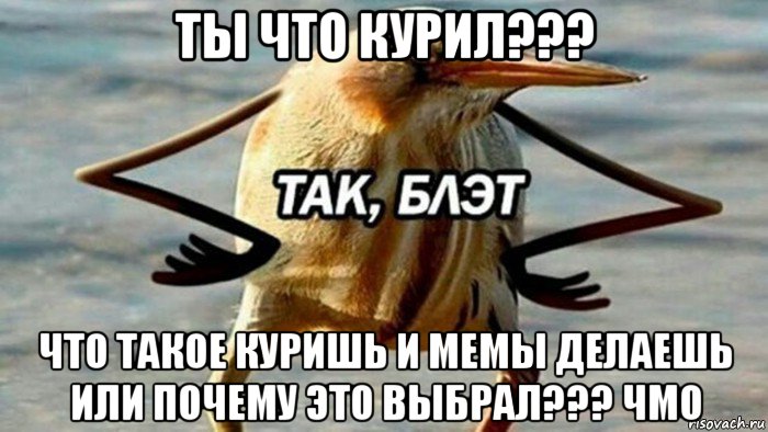 ты что курил??? что такое куришь и мемы делаешь или почему это выбрал??? чмо, Мем  Так блэт