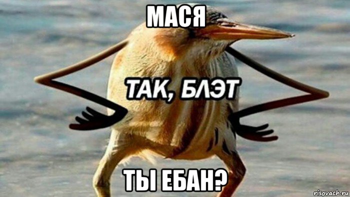 мася ты ебан?, Мем  Так блэт