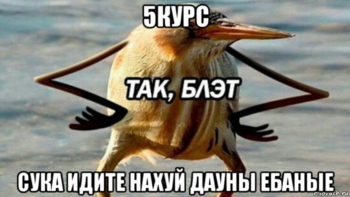 5курс сука идите нахуй дауны ебаные, Мем  Так блэт