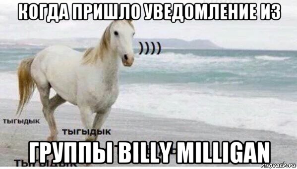 когда пришло уведомление из группы billy milligan, Мем   Тыгыдык