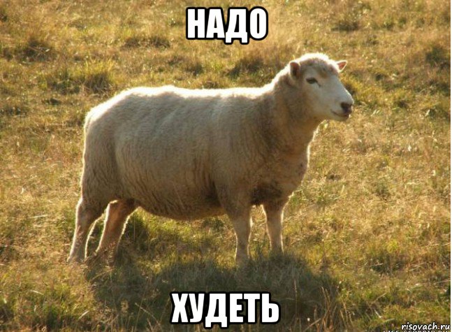 надо худеть