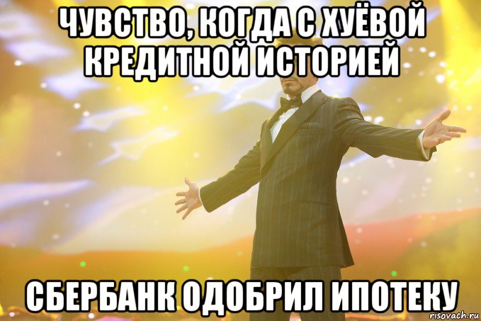 чувство, когда с хуёвой кредитной историей сбербанк одобрил ипотеку, Мем Тони Старк (Роберт Дауни младший)