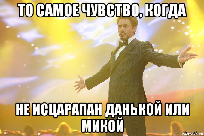 то самое чувство, когда не исцарапан данькой или микой, Мем Тони Старк (Роберт Дауни младший)