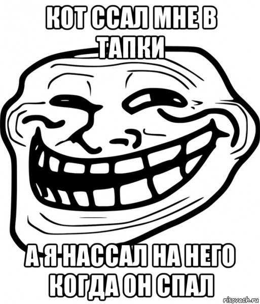 кот ссал мне в тапки а я нассал на него когда он спал, Мем Троллфейс