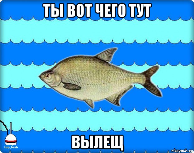 ты вот чего тут вылещ, Мем Тупичный лещ