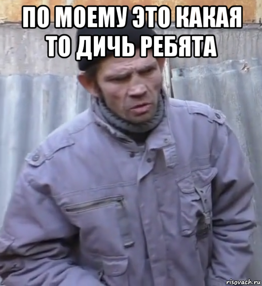 по моему это какая то дичь ребята 