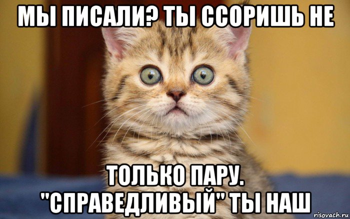 мы писали? ты ссоришь не только пару. "справедливый" ты наш, Мем  удивление