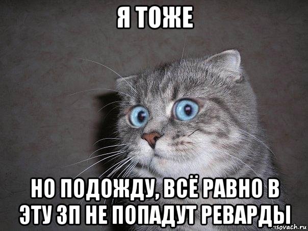 я тоже но подожду, всё равно в эту зп не попадут реварды, Мем  удивлённый кот