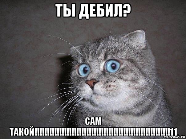 ты дебил? сам такой!!!!!!!!!!!!!!!!!!!!!!!!!!!!!!!!!!!!!!!!!!!!!!!!!!!!!!!11, Мем  удивлённый кот