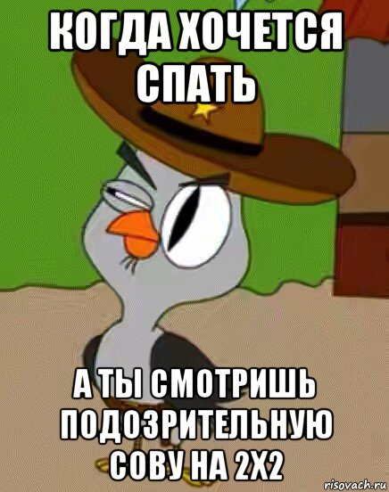 когда хочется спать а ты смотришь подозрительную сову на 2x2, Мем    Упоротая сова