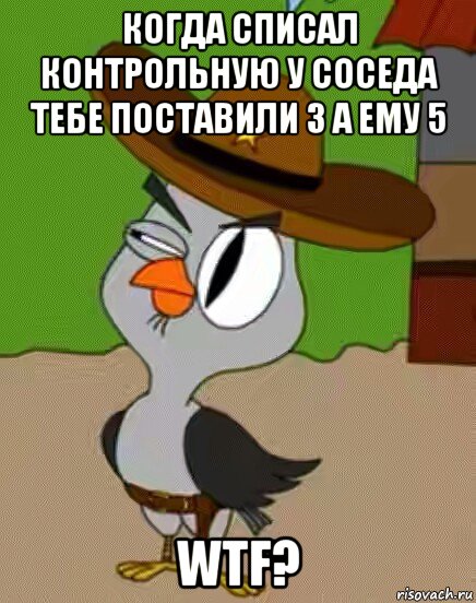 когда списал контрольную у соседа тебе поставили 3 а ему 5 wtf?, Мем    Упоротая сова