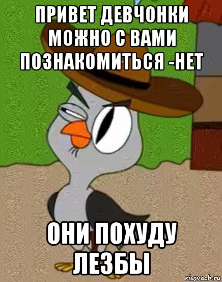 привет девчонки можно с вами познакомиться -нет они похуду лезбы, Мем    Упоротая сова