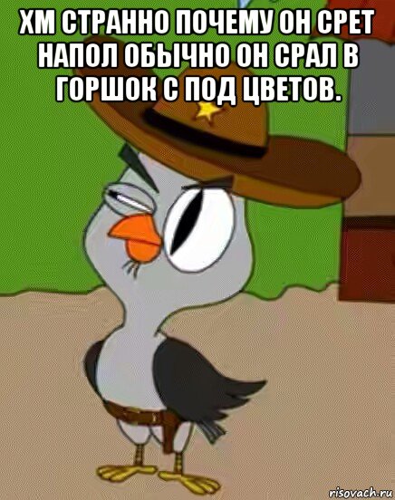 хм странно почему он срет напол обычно он срал в горшок с под цветов. , Мем    Упоротая сова