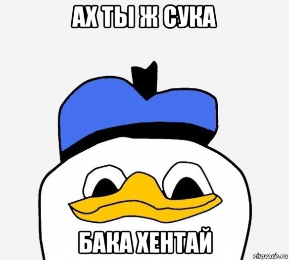 ах ты ж сука бака хентай, Мем Утка