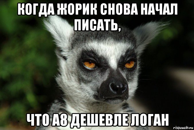 когда жорик снова начал писать, что а8 дешевле логан, Мем   Я збагоен