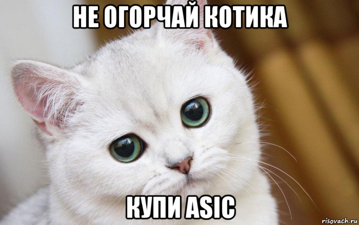 не огорчай котика купи asic, Мем  В мире грустит один котик