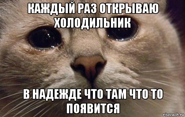 каждый раз открываю холодильник в надежде что там что то появится, Мем   В мире грустит один котик