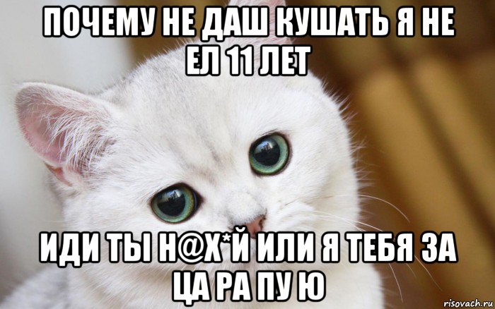 почему не даш кушать я не ел 11 лет иди ты н@х*й или я тебя за ца ра пу ю, Мем  В мире грустит один котик