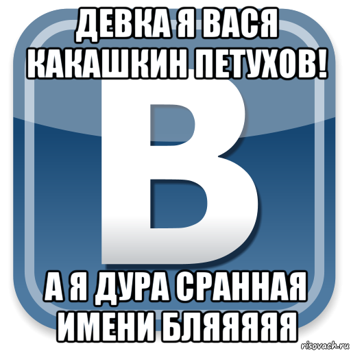 девка я вася какашкин петухов! а я дура сранная имени бляяяяя, Мем   вк