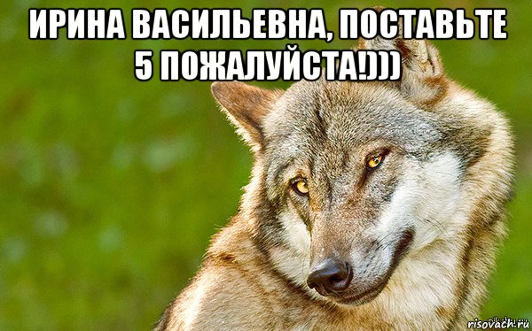 ирина васильевна, поставьте 5 пожалуйста!))) , Мем   Volf