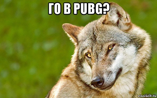 го в pubg? , Мем   Volf