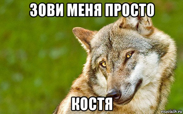 зови меня просто костя, Мем   Volf