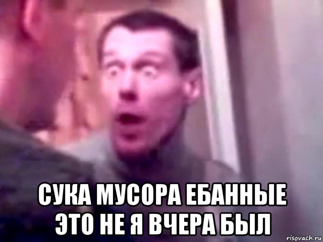  сука мусора ебанные это не я вчера был, Мем Запили