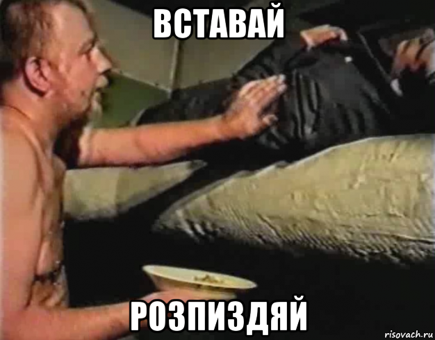 вставай розпиздяй