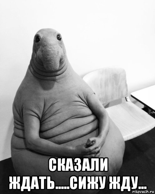  сказали ждать.....сижу жду..., Мем  Ждун