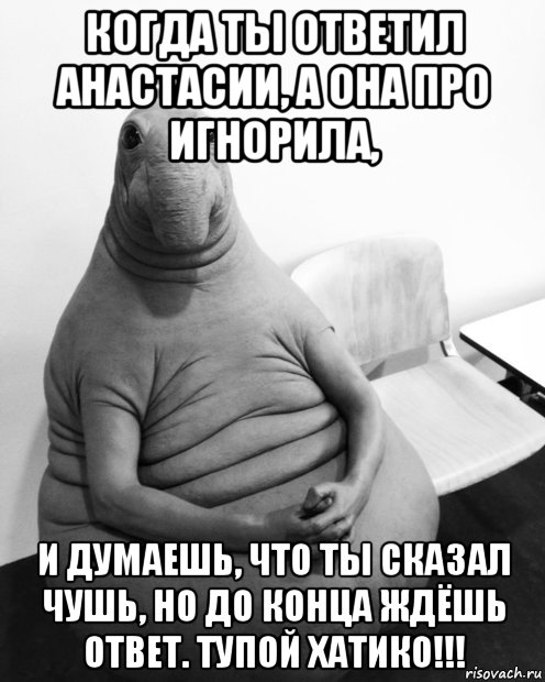 когда ты ответил анастасии, а она про игнорила, и думаешь, что ты сказал чушь, но до конца ждёшь ответ. тупой хатико!!!, Мем  Ждун