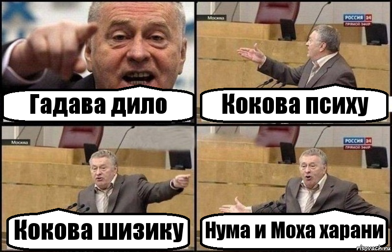 Гадава дило Кокова психу Кокова шизику Нума и Моха харани, Комикс Жириновский