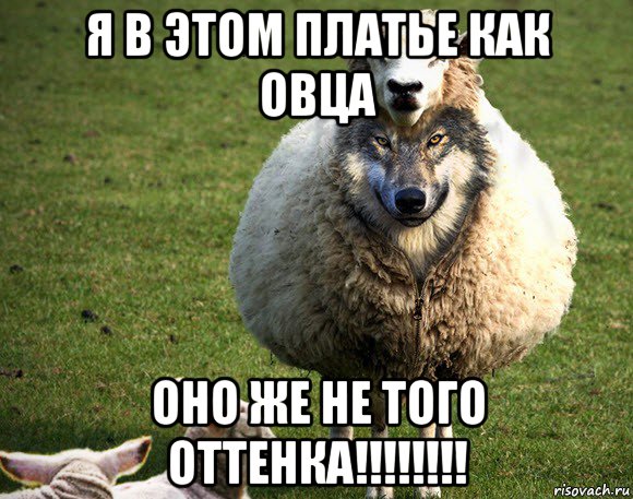 я в этом платье как овца оно же не того оттенка!!!!!!!!